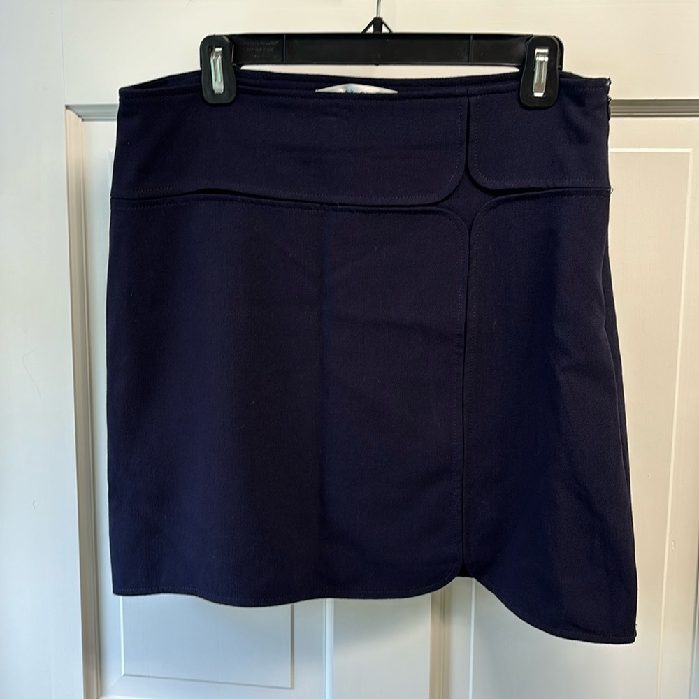 Max Studio Navy Skirt